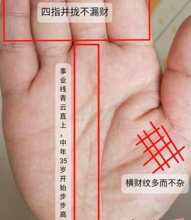 手掌纹路m字型图解 M型手相的意义