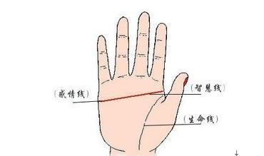 断掌只有两条线吗 断掌的四种代表性手相