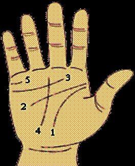 手相有四条主线代表 　　手相四条主线代表