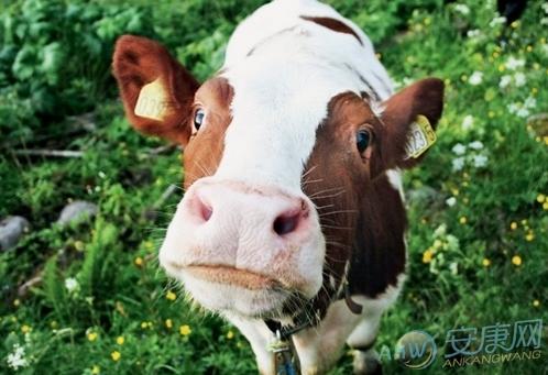生肖牛2022年3月适合动土的日子 属牛人2022年3月适合动土日子