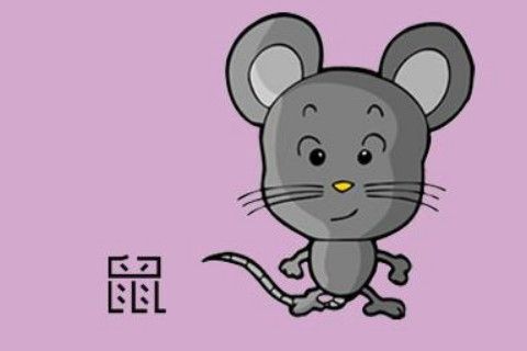 生肖鼠的幸运数字是多少 属鼠人的幸运数字是什么？