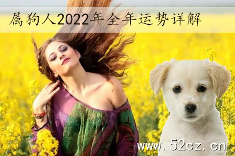 2022年3月生肖狗财运运势解析 属狗人2022年3月的财运