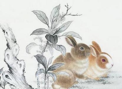 2011年属兔人2022年学业运势 11年出生的生肖兔在虎年的学业运