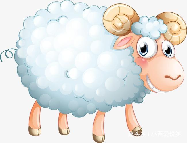 生肖属羊的妈妈和什么生肖属相的孩子是六合 生肖羊的性格