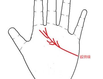 男人左手手纹算命图解婚姻线 感情线预示感情状况