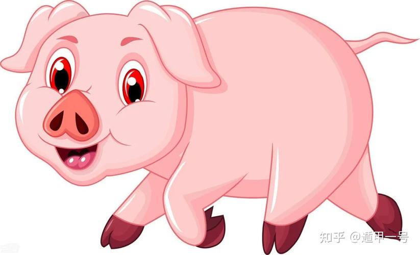50岁1971年出生属猪的2021年健康运如何 属猪的2021年健康运如何