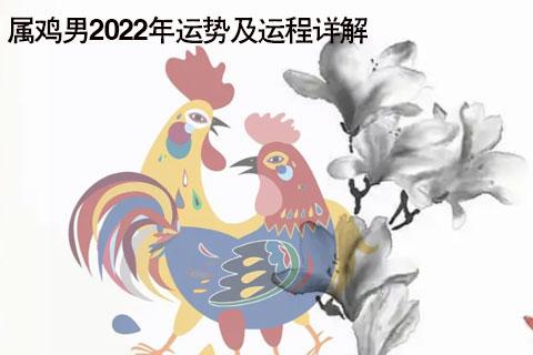 2022年生肖鸡4月的事业运怎么样 2022属鸡事业运4月解读