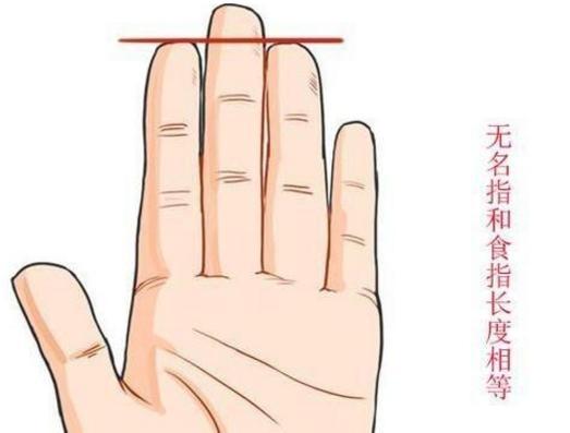 手指的长度决定你的命 手指不同长度的命运
