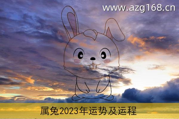 生肖属兔2021年不宜提新车黄道吉日一览表 2021年生肖兔不宜提车吉日