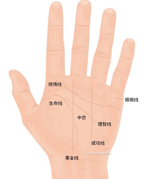 手掌纹路图解能知道自己的命运 一、不同的手掌纹路图解大全
