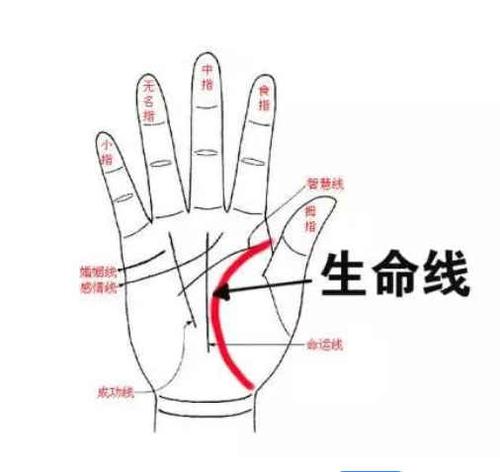 如何看手相的三条线 看手相三条线代表意义