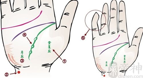 手掌的三条线正确图解 手掌第一条：生命线