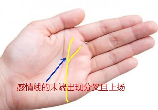 手相感情线分叉代表什么 手相感情线分叉寓意