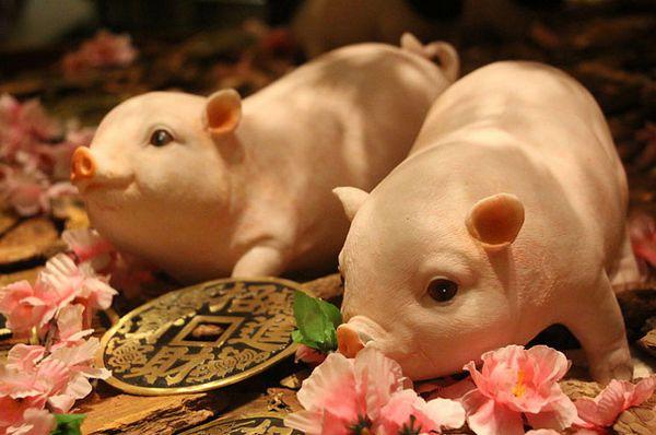 2020年4月生肖属猪人的事业运遭遇瓶颈 2020年4月属猪人的事业运势