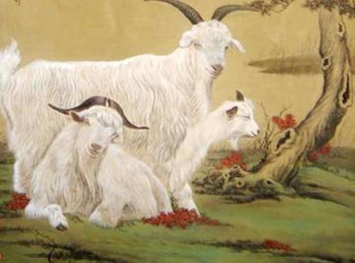 91属羊和97属牛 91年羊男和97年牛女婚配如何