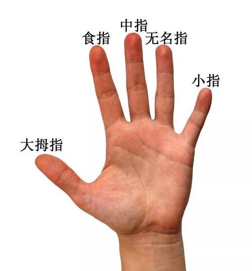 5个手指分别代表什么意思 　　五个手指头代表的意思