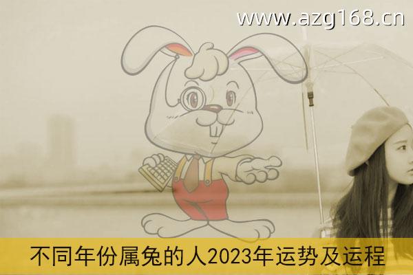 2023年兔属于什么命 2023属兔人什么命