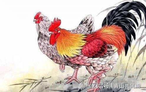 牛年运程2021生肖年运鸡 属鸡人事业觅到新机遇