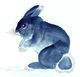 1951年辰时出生的生肖属兔人是什么命 属兔人的性格和脾气