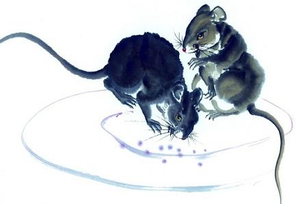 1960年庚子属鼠壁上土命五行属什么 1960年出生的属鼠人爱情观