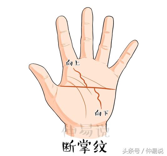 通贯手是什么手相 　　通贯手的手相特点