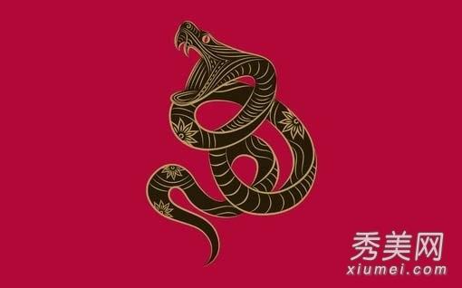 2013年属蛇的五行属性是什么 13年出生人五行属性