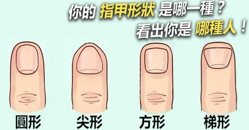 指甲形状手相看性格特征解析 一、从不同指甲形状手相看性格详解