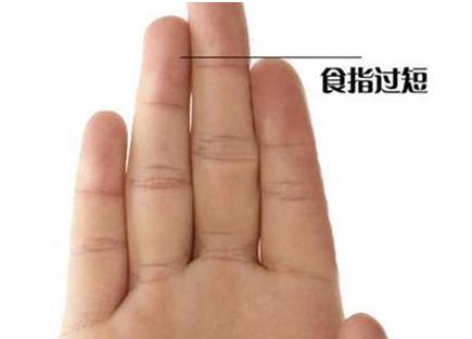 五个手指长短看命运图解 食指在手相上代表一个人的欲望