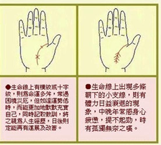 男人左手手纹算命图解怎么看 左手生命线