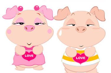 2020鼠年生肖属牛和生肖属猪能谈恋爱吗 2020鼠年生肖牛和生肖猪能谈恋爱吗