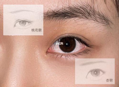 杏眼和桃花眼的区别是什么 桃花眼的特征